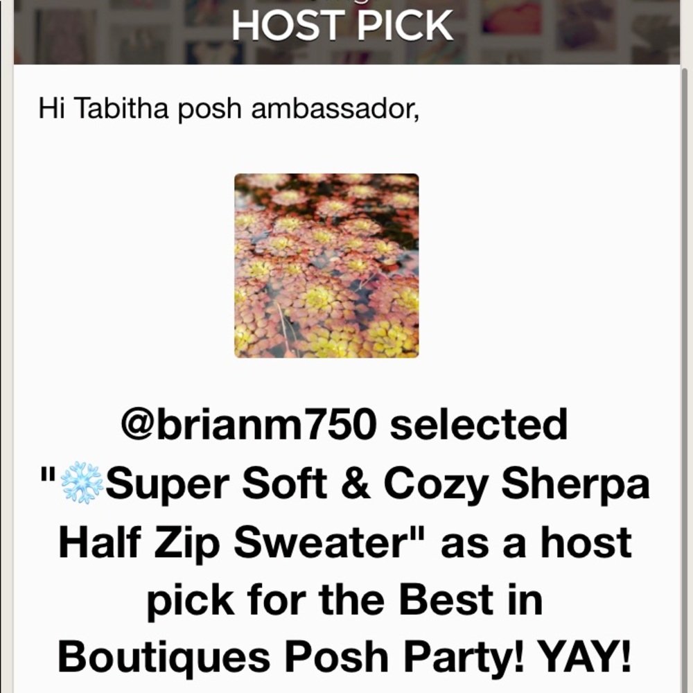 🎉HP🎉 Extremely Soft & Cozy Sherpa Half Zip Sweater - Picture 6 of 6